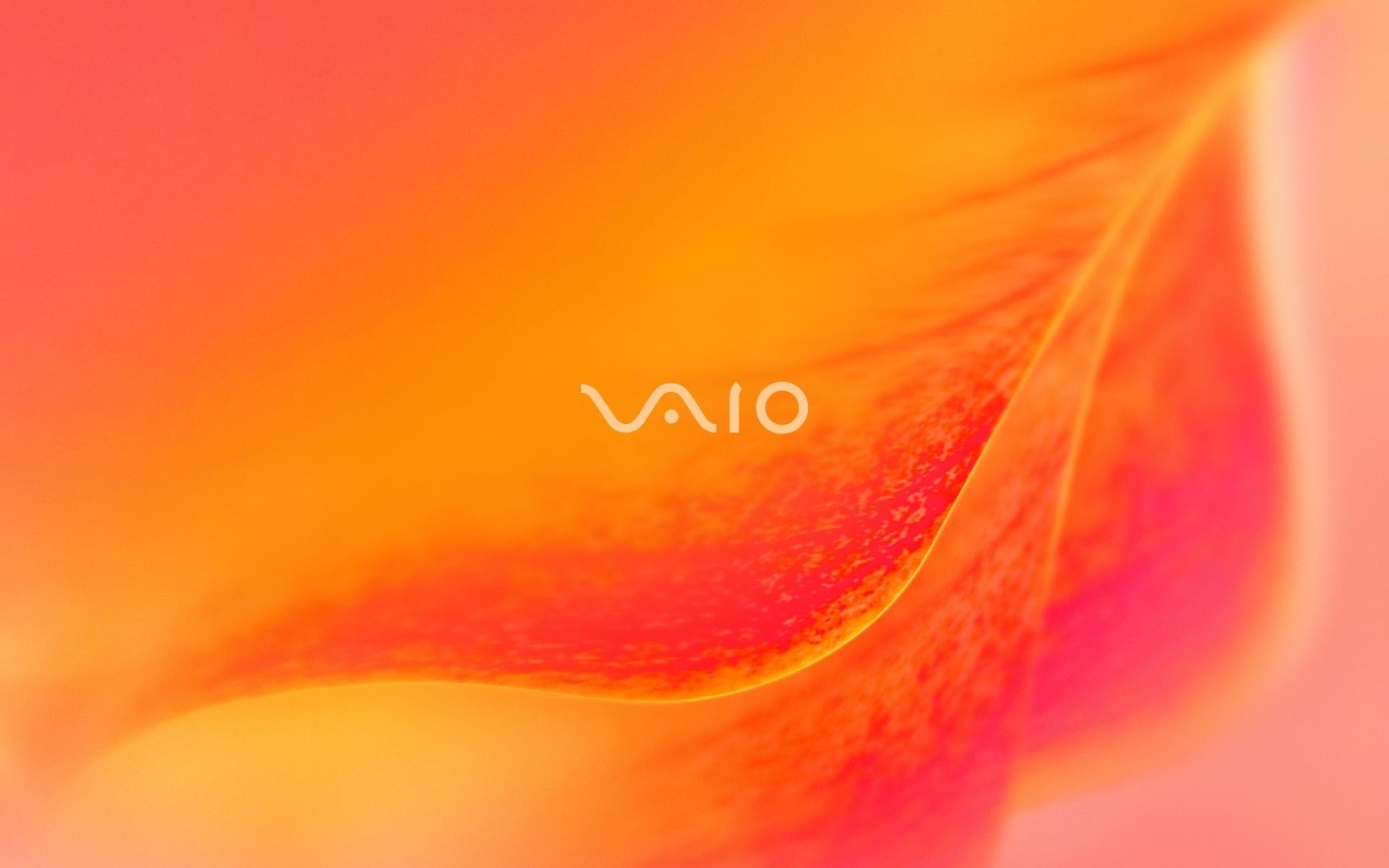 sony blur bright abstract art artistic wallpaper nature shining light color elegant smooth sony vaio