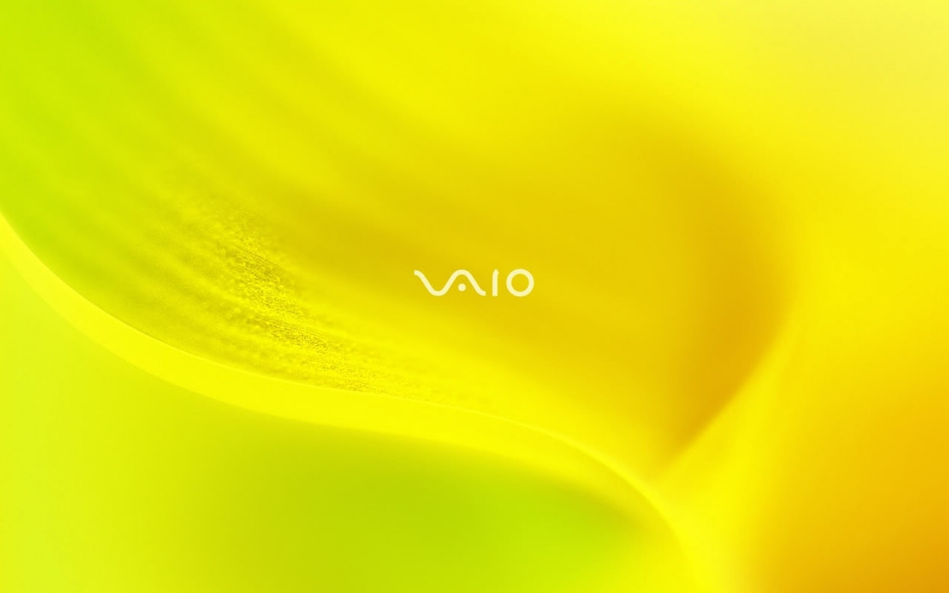 sony bright blur shining abstract wallpaper smooth artistic art light elegant color futuristic design space crinkled background sony vaio