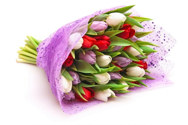 Bouquet of tulips in a purple wrapper