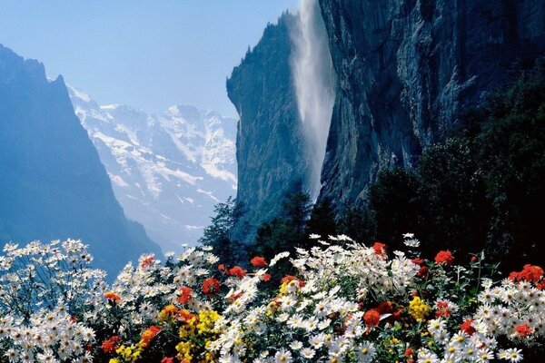 Flores brilhantes no fundo das montanhas e cachoeiras