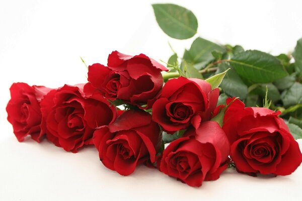 Bouquet di rose rosse romanticismo