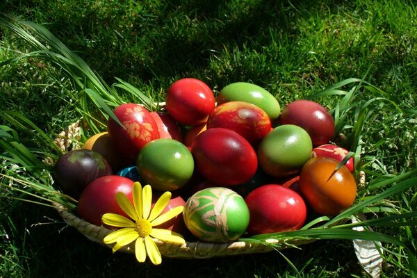 Dipingiamo le uova per Pasqua batteremo