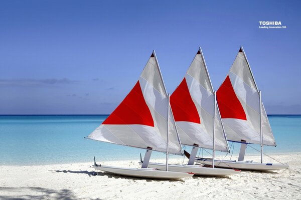 The shore and the three boats standing on it