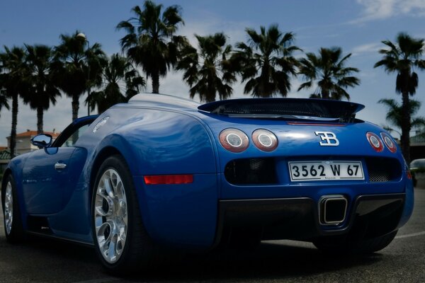 Blauer Bugatti Sportwagen auf Palmenhintergrund