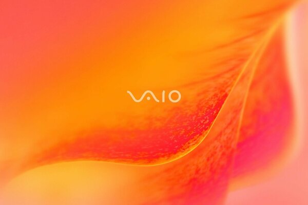 Das Logo von Sony Vaio in orangefarbenen Tönen