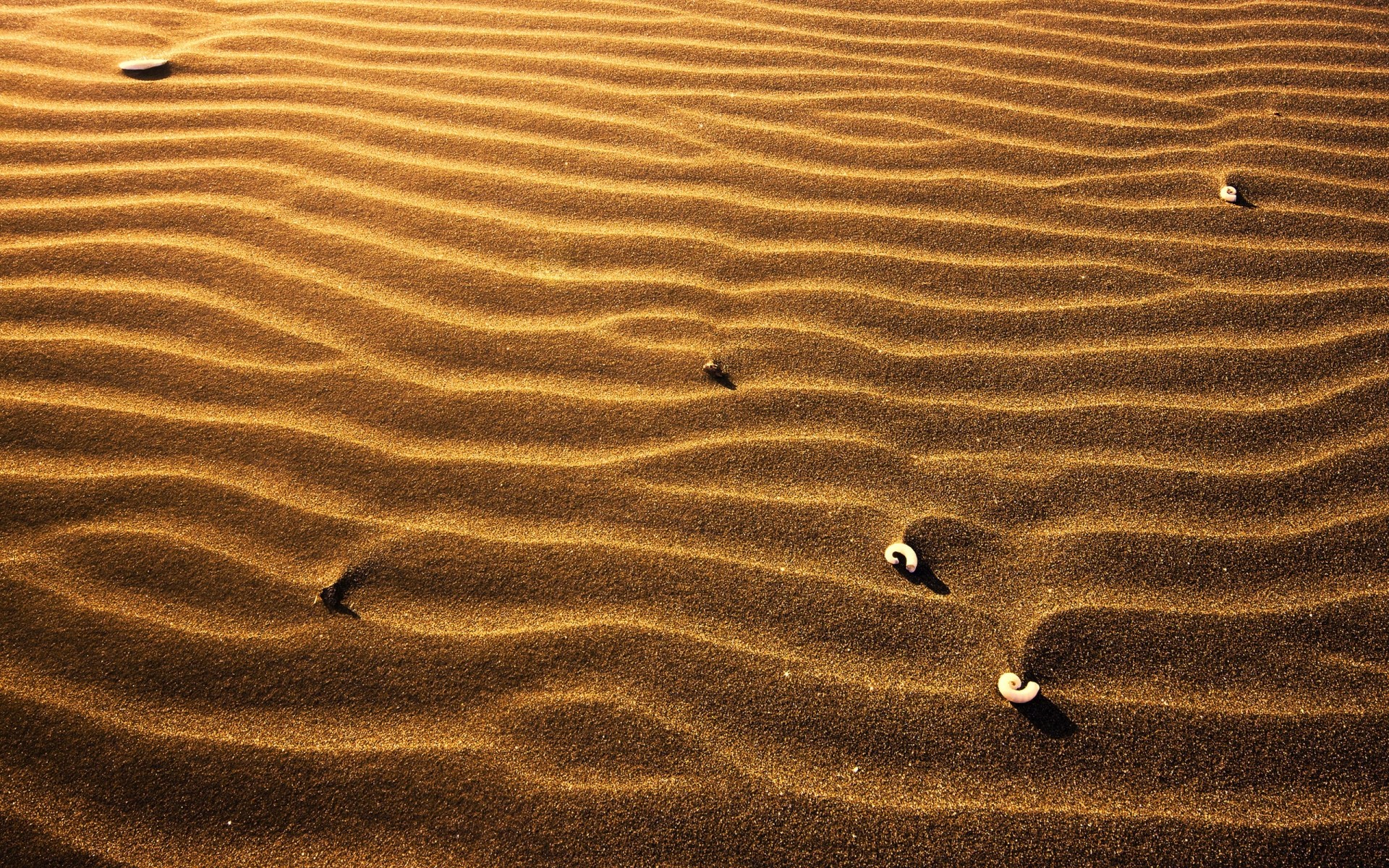 paesaggio sabbia spiaggia deserto impronta sterile pedana da solo mare avventura dune aride struttura modello natura ondulazione solitudine ombra piedi