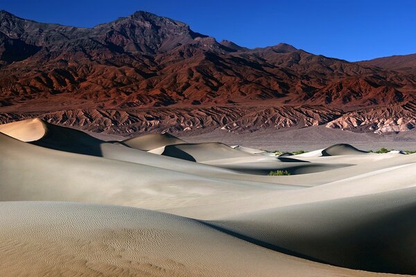 Barkhans de sable blanc sur fond de montagnes