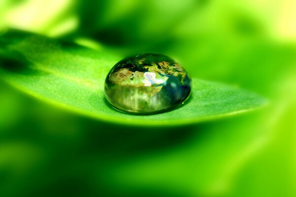 Photo processing of dew drops on a sheet