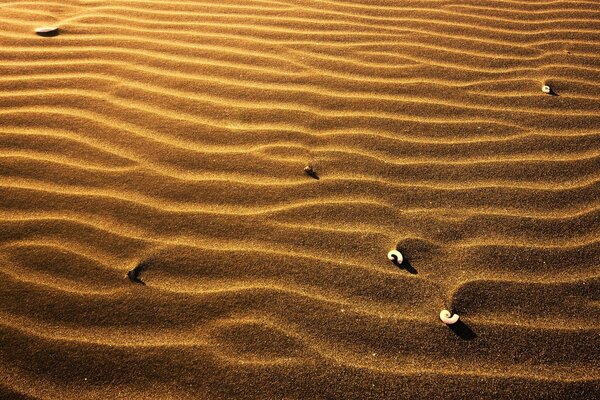 Le sable dans le désert efface toutes les traces