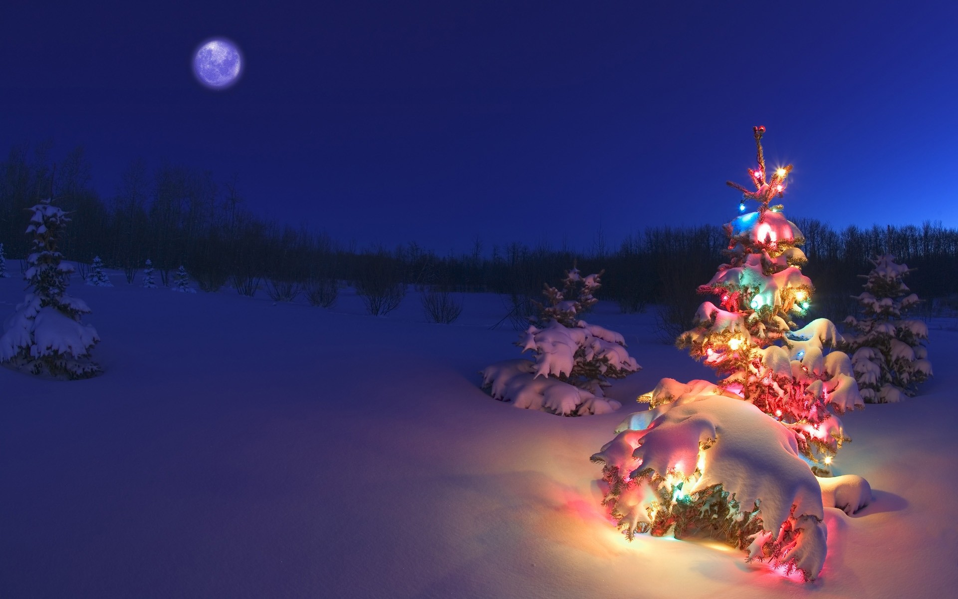 navidad invierno nieve luna noche al aire libre cielo vacaciones árbol fondo vacaciones