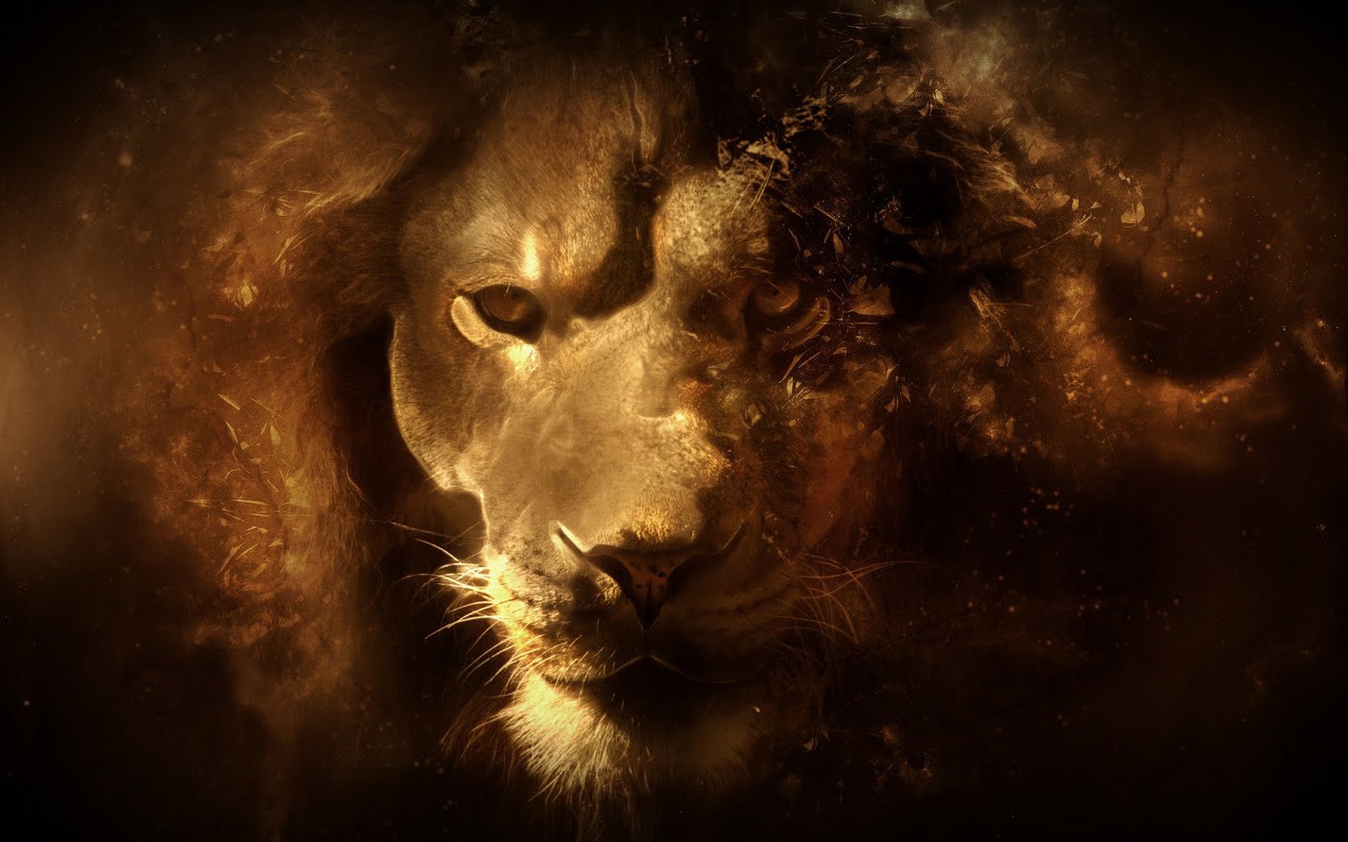 animals portrait art one dark lion