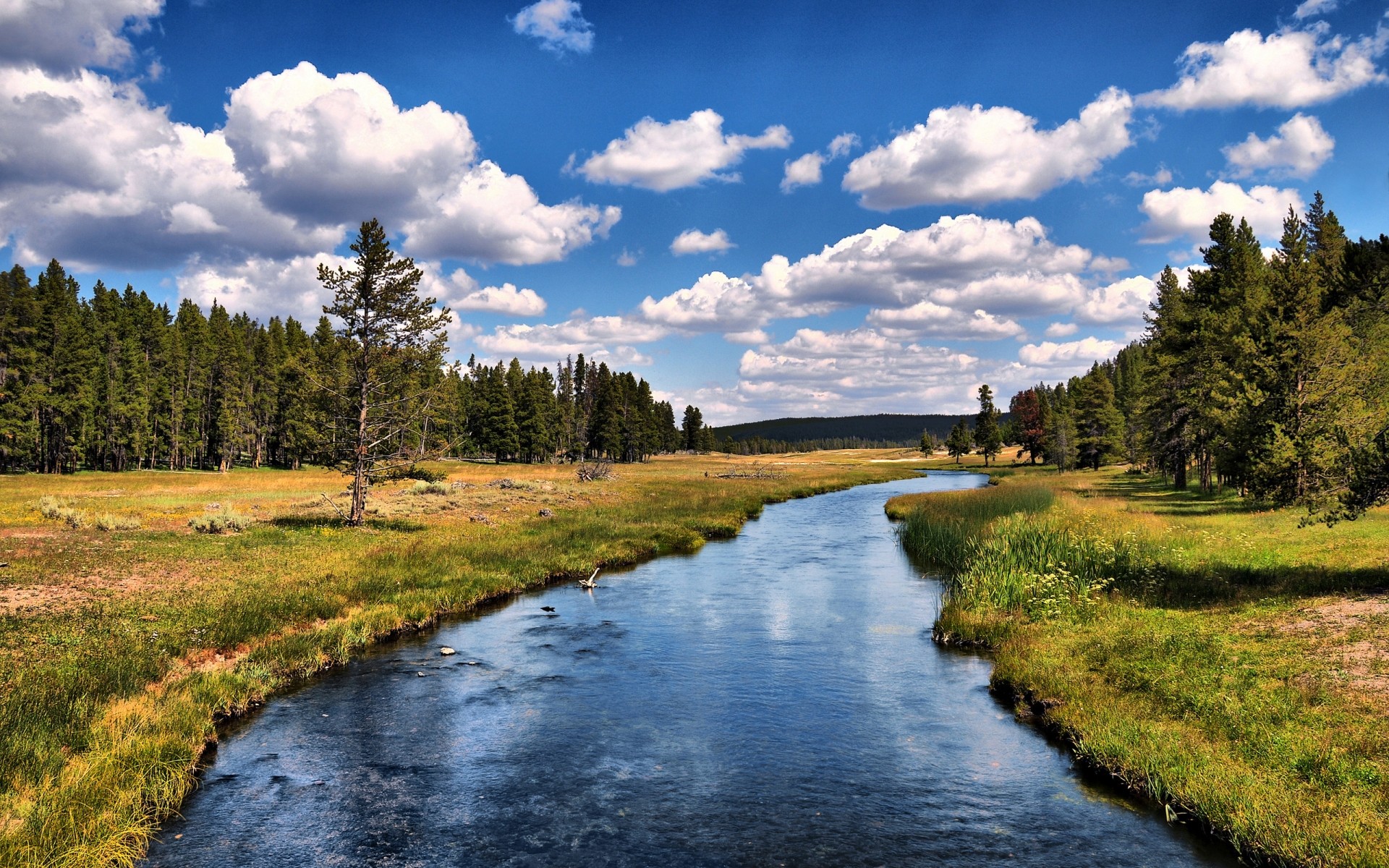 paisaje agua naturaleza paisaje al aire libre lago madera río reflexión hierba árbol cielo viajes verano sangre fría ríos árboles wyoming parque nacional de yellowstone drh