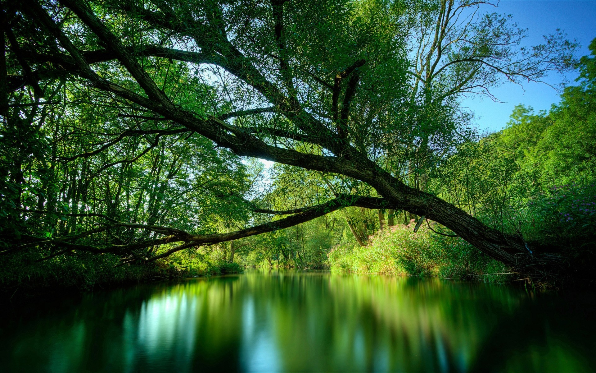 landschaft natur holz landschaft holz wasser blatt dämmerung park reflexion see umwelt sonne gutes wetter im freien licht zweig üppig landschaftlich flora drh wald reflexionen hoher dynamikbereich