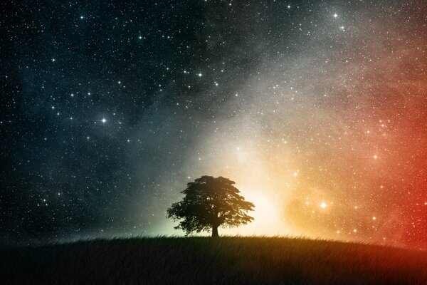 Photo processing of the astronomical galaxy of the tree