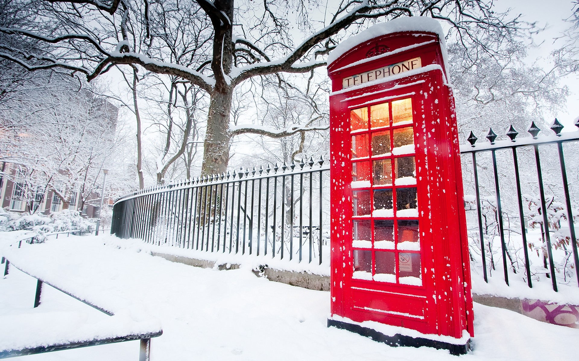 united kingdom winter snow cold frost outdoors ice frozen wood season weather tree street snowstorm snow-white landscape background