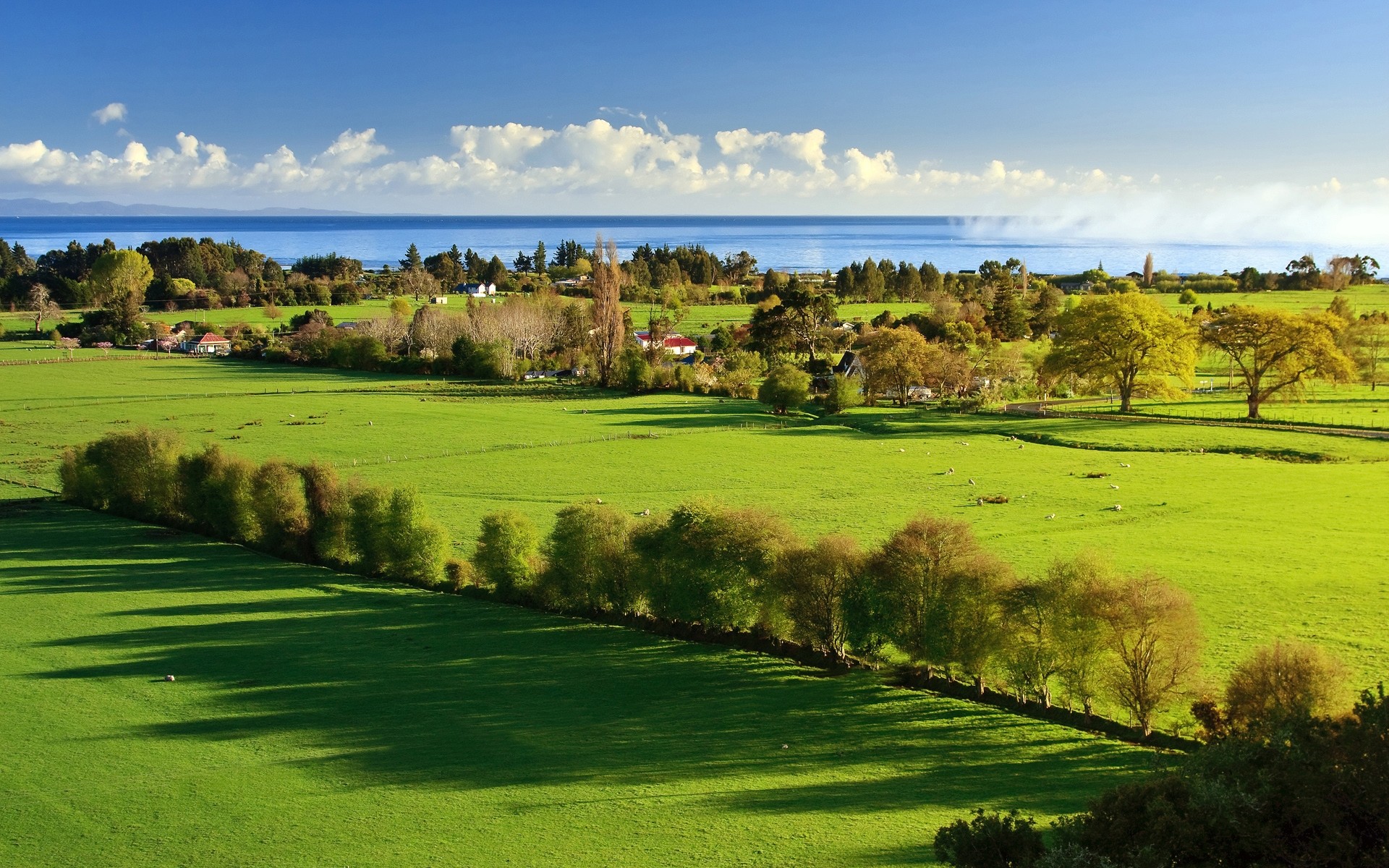 paesaggio golf putt paesaggio fairway erba corso golfista tee tramoggia natura foro albero scenico par fieno campagna campo all aperto prato primavera mare alberi cielo giorno