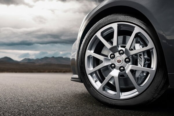 Cadillac wheel in nature