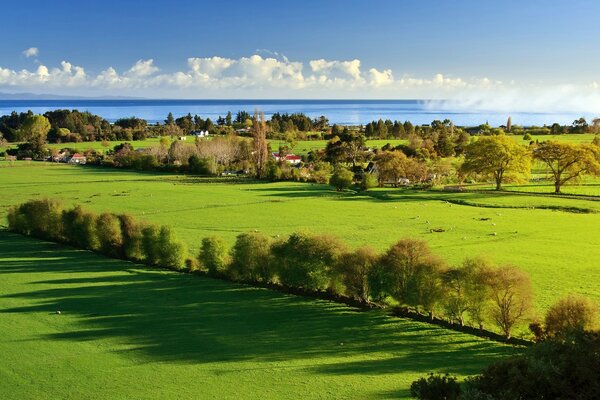 Rustic landscape on a summer day