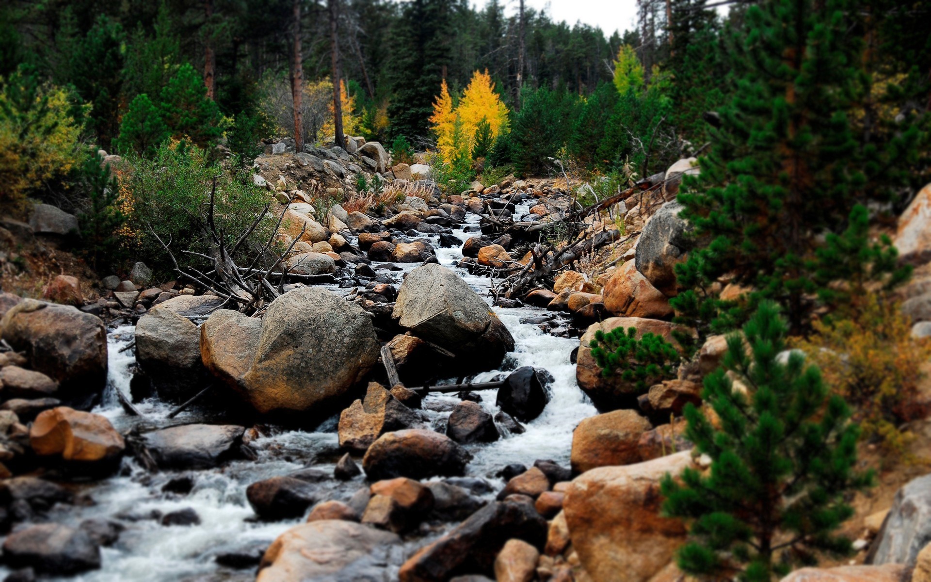 paysage nature eau ruisseau bois à l extérieur rock automne rivière arbre feuille cascade paysage ruisseau montagne voyage parc pierre environnement ruisseau arbres forêt pierres pierres