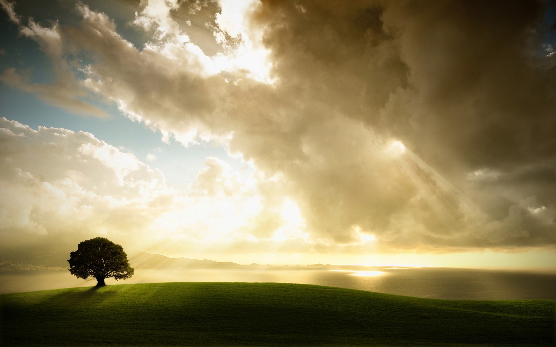 paysage coucher de soleil ciel soleil paysage aube nature beau temps herbe tempête à l extérieur campagne météo rural nuage été soir dramatique arbres champ