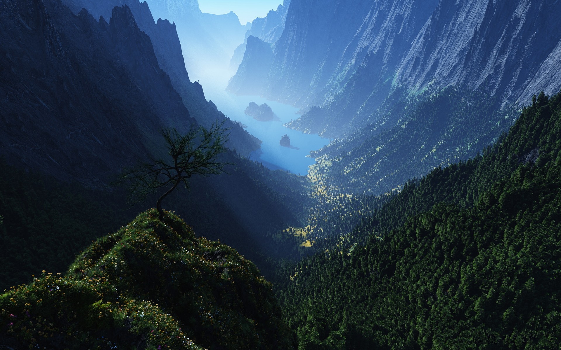 风景 旅游 山 自然 景观 户外 水 木材 树 雾 天空 谷 雾 黎明 背景 森林 湖