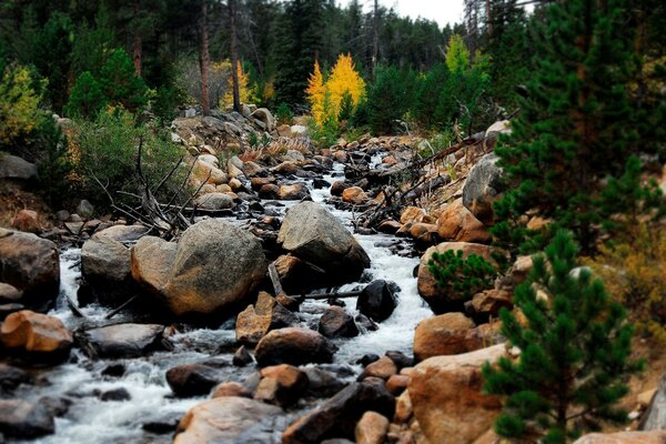 A streamlet among the stones in the autumn forest