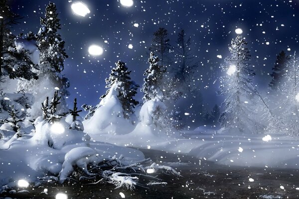 Fabulous Christmas trees in the snow in the middle of a winter forest at night