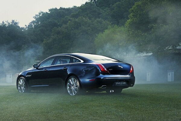 Voiture noire Jaguar sur la pelouse