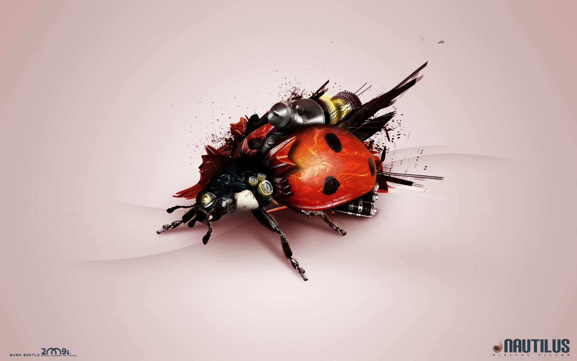 photo manipulation insect beetle biology nature ladybug little outdoors wildlife bug abstract photo manipulated