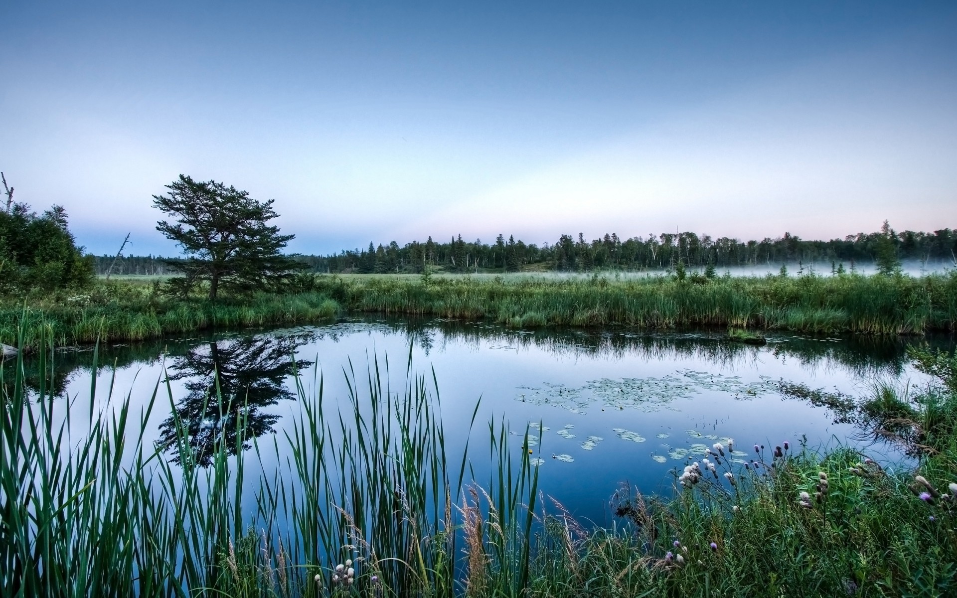 landscapes water reflection lake nature landscape outdoors sky river grass travel pool marsh summer tree composure amazing beautiful forest wood