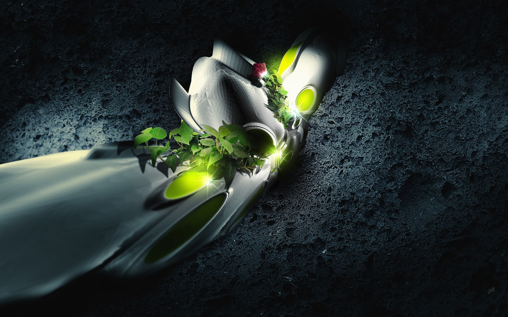 abstract desktop still life water light nature green rose flower fantasy