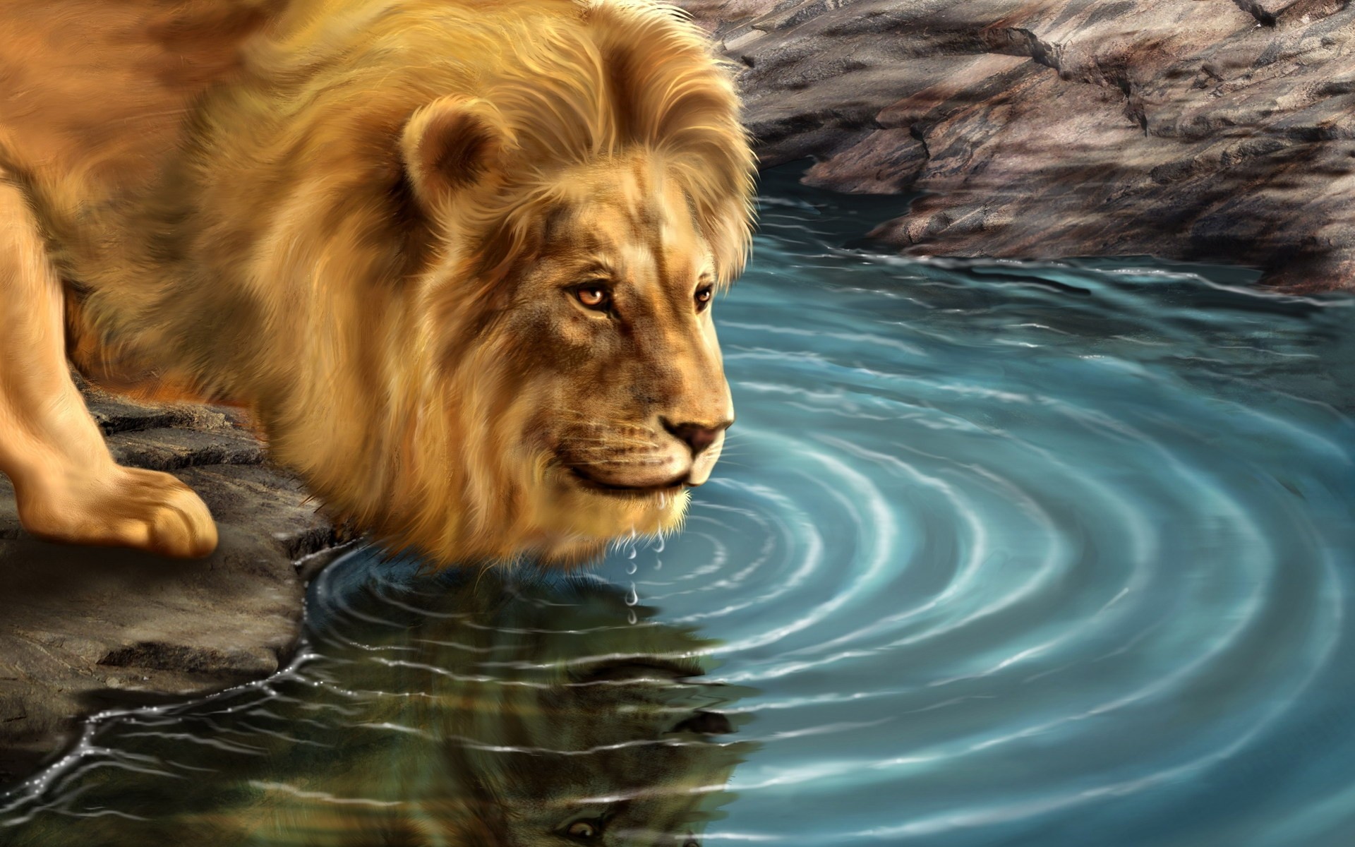 animals mammal portrait one lion