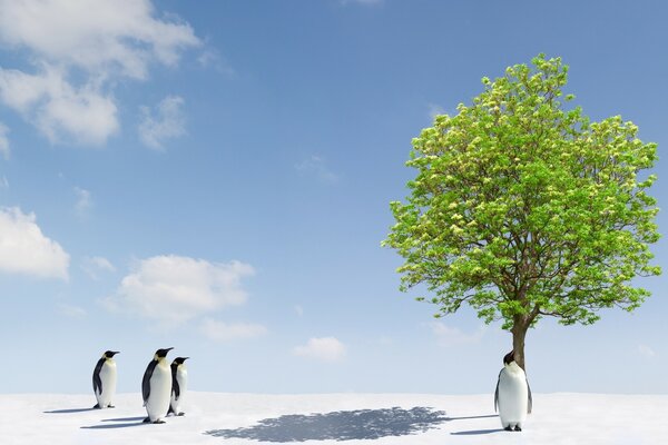 Eine unwirkliche Kombination - Pinguine und ein Baum