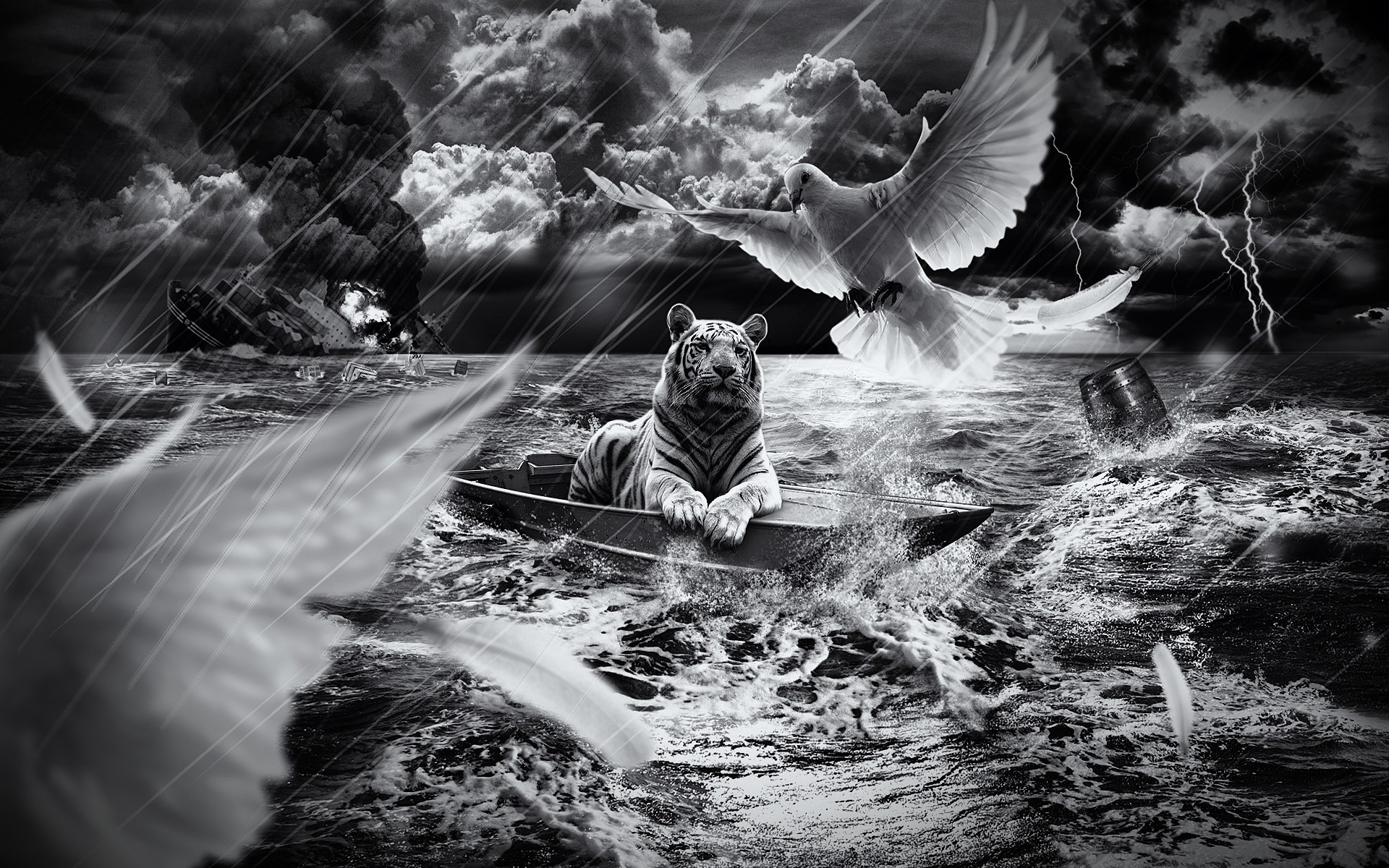 photo manipulation water monochrome river travel nature motion outdoors birds tiger