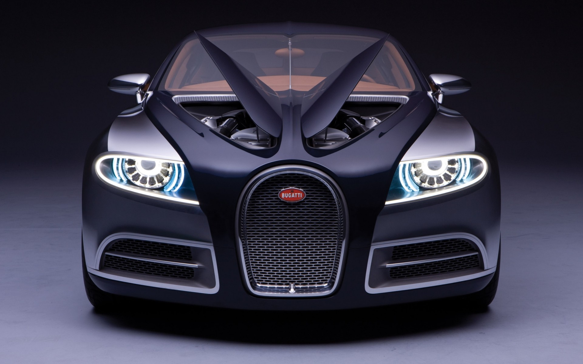 bugatti auto auto räder macht transportsystem automobil schnell fahren anzeigen modern sport luxus autos rack