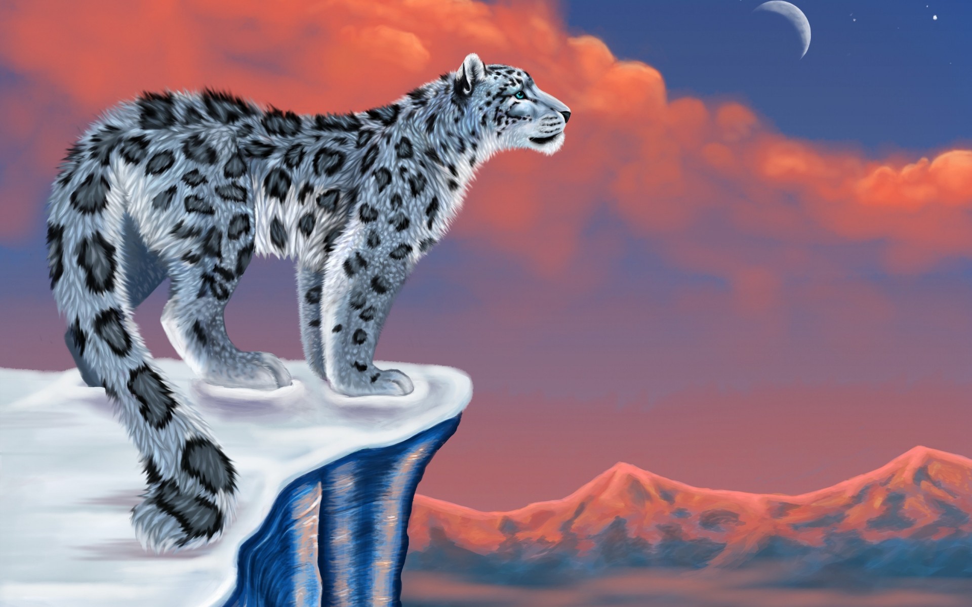 drawings nature mammal outdoors snow sky snow leopard leopard