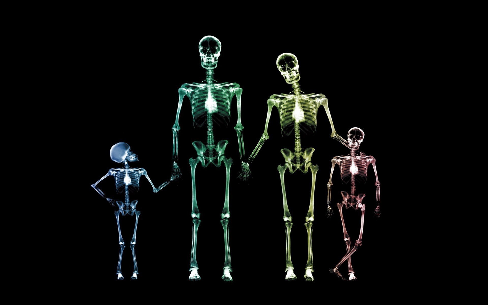 drawings biology science anatomy frame medicine man body bone black colors funny wallpaper