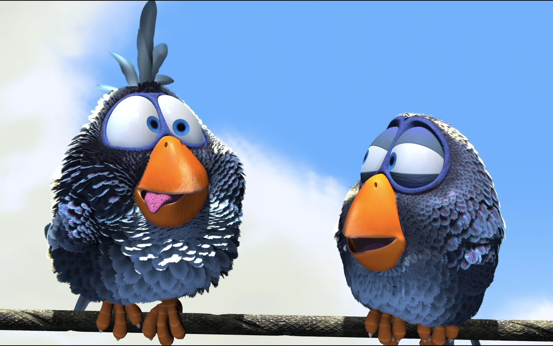 películas pájaro animal pluma vida silvestre naturaleza pico ala salvaje lindo divertido divertido animado película pixar anime