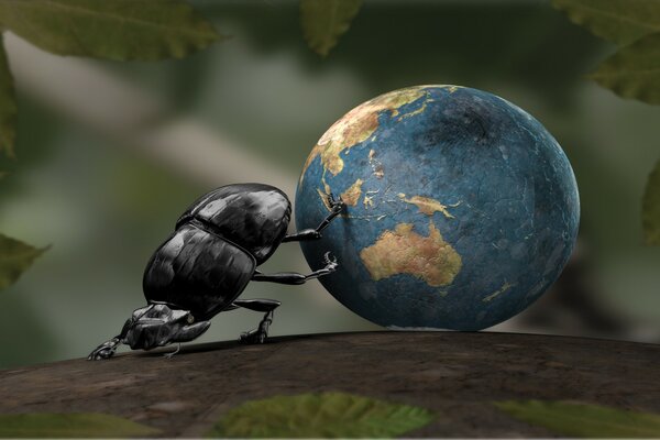 A small bug rolls the planet on a branch