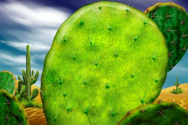 Cactus sur fond bleu vif