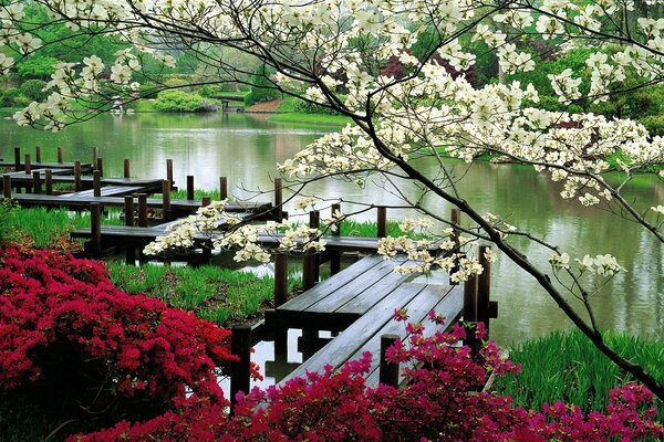 Il lago è circondato da alberi e arbusti in fiore