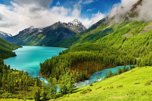 The bright greenery of a mountain lake