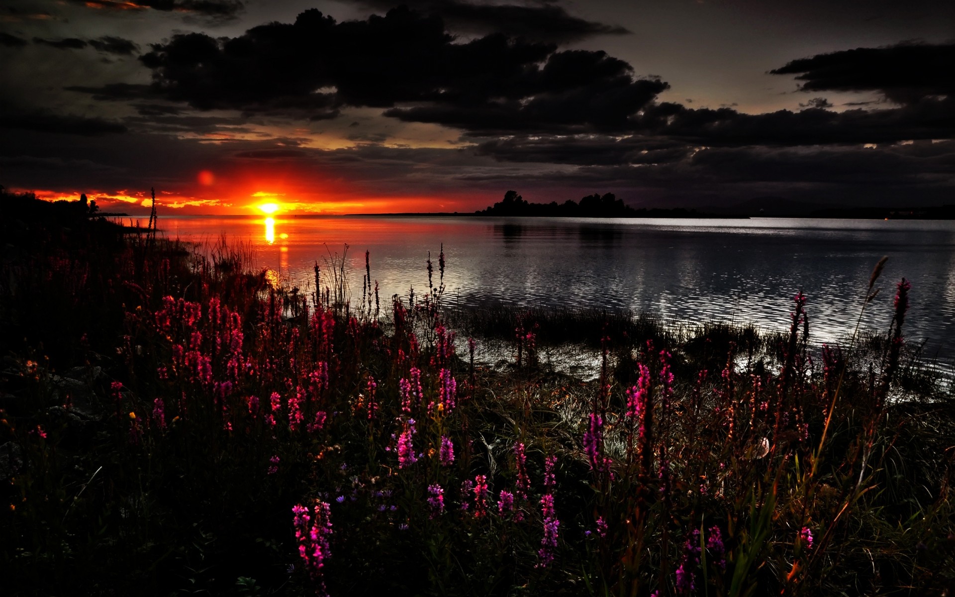 paysage coucher de soleil aube eau crépuscule soir paysage à l extérieur soleil lac lumière ciel nature fleurs nuages secenery