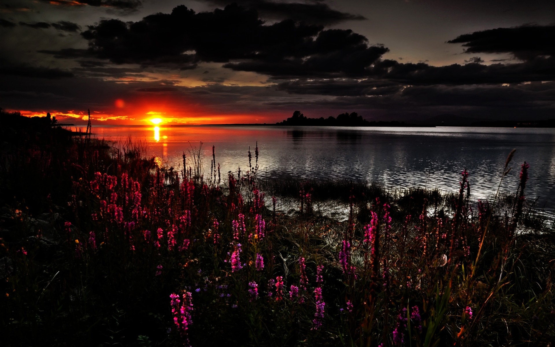 landscapes sunset dawn water dusk evening landscape outdoors sun lake light sky nature flowers clouds secenery