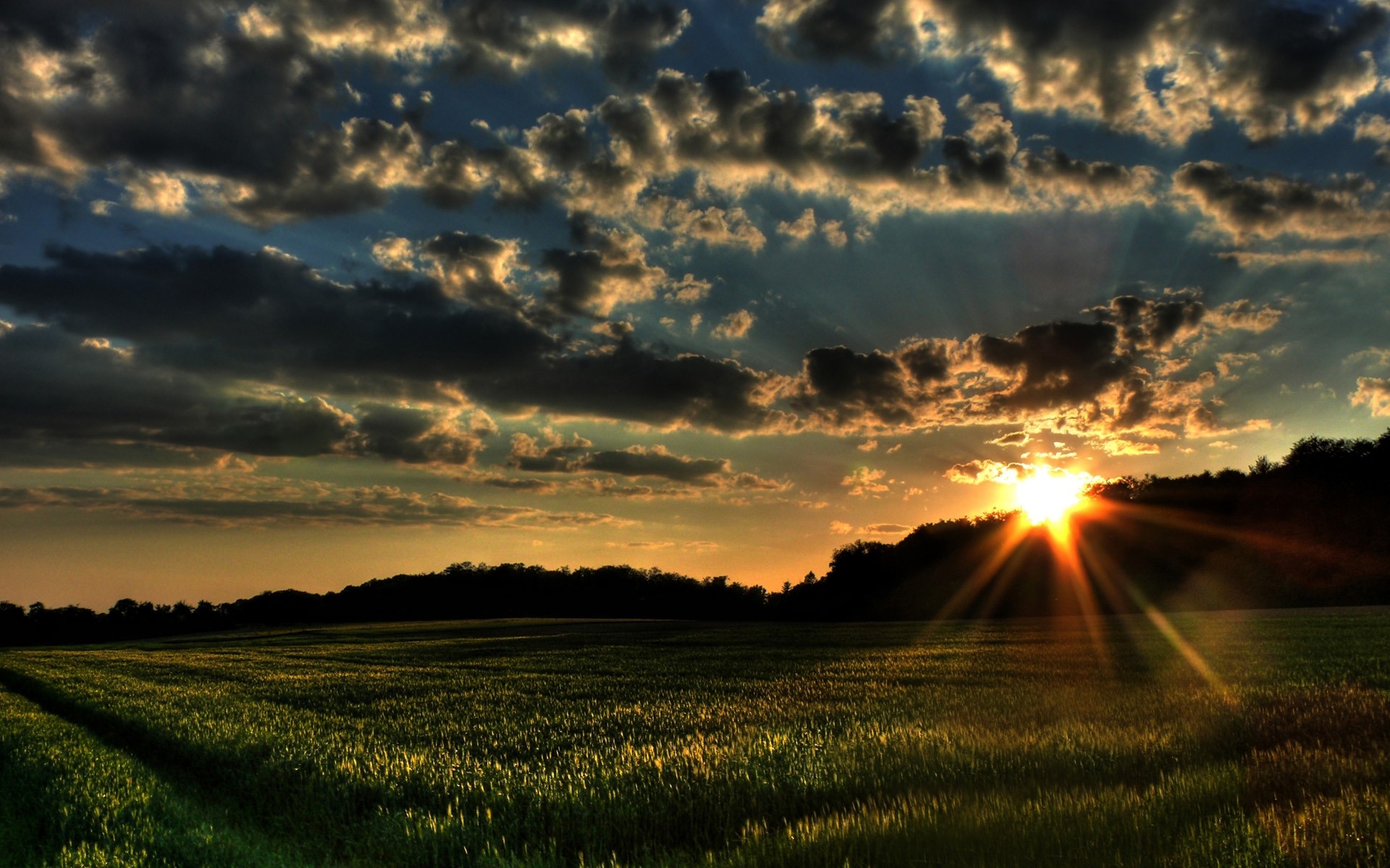 paisagens pôr do sol sol amanhecer paisagem natureza céu rural campo bom tempo campo grama agricultura nuvem noite fazenda dramática plantas nuvens fundo escuro