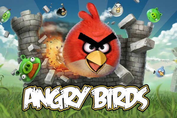 Angry birds illustration for the game