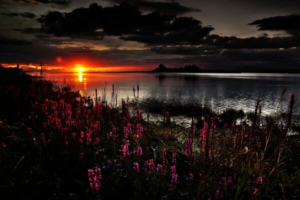 Tramonto. Lago blu scuro al crepuscolo