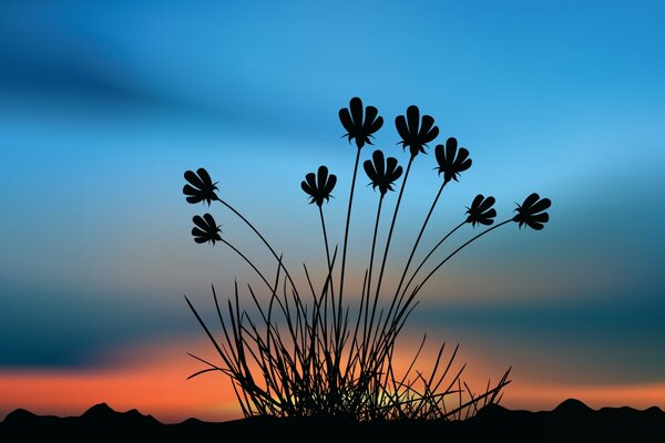 Flores ao pôr do sol sol e céu