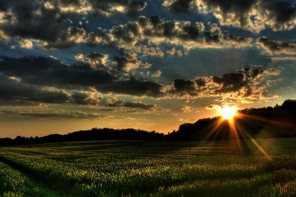 Ungewöhnliche Sonnenuntergangslandschaft über der Wiese