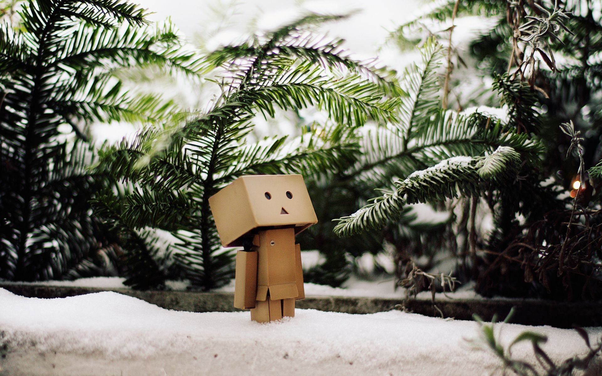 A robot made of cardboard boxes stands in the snow among the fir branches  wallpaper